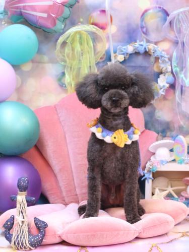 20240820ボーロくん